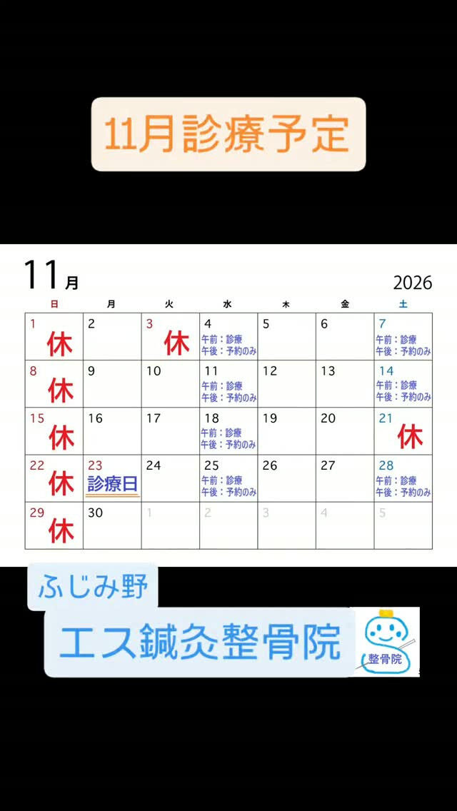 11月の診療予定になります